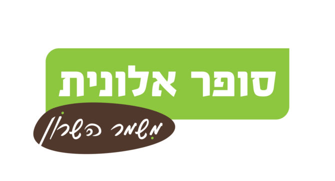 עיצוב לוגו